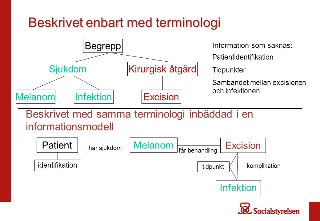 terminologi medicinsk